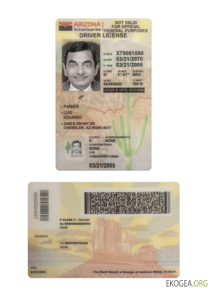 USA Arizona under 21 driving license 2023 present